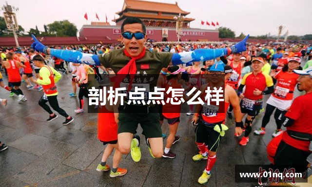 剖析点点怎么样